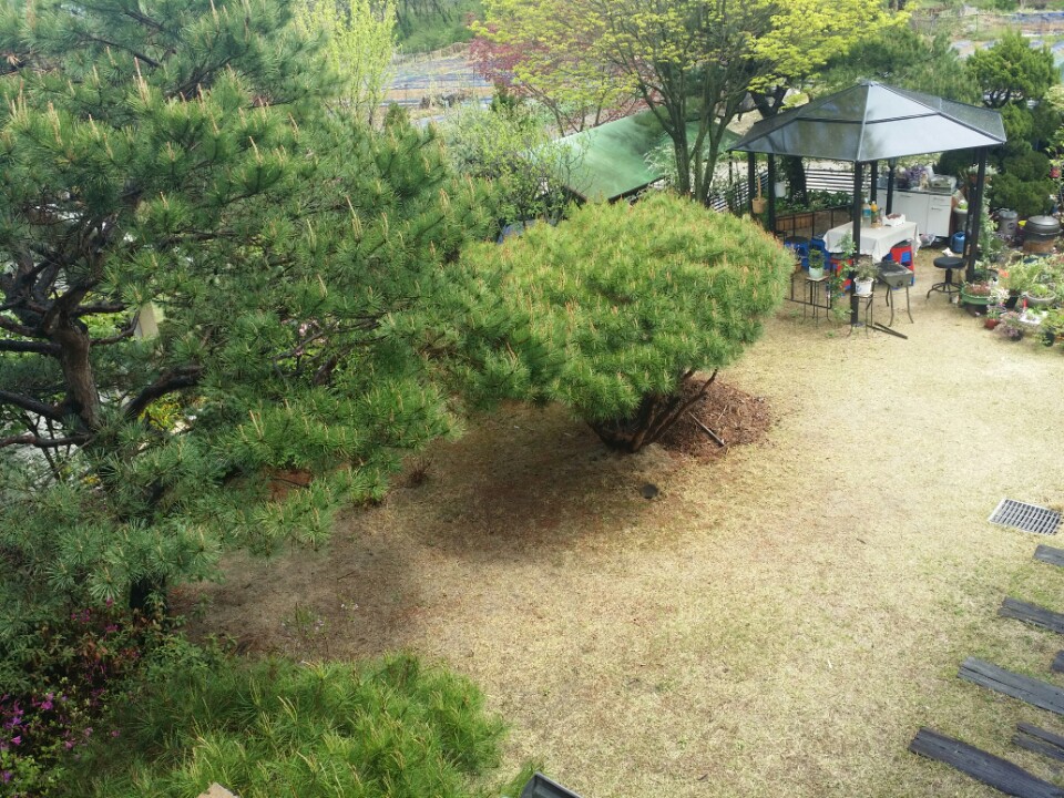 백향꽃누르미갤러리