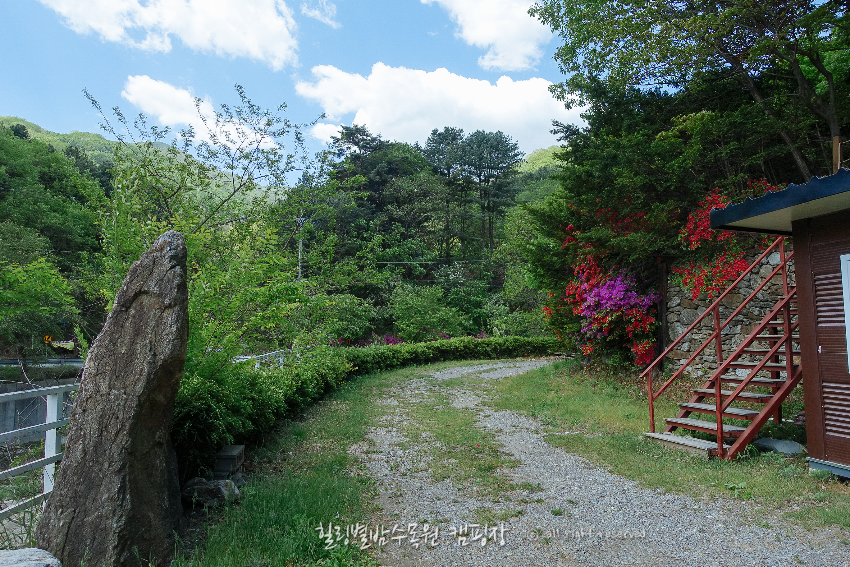 힐링별밤수목원캠핑장