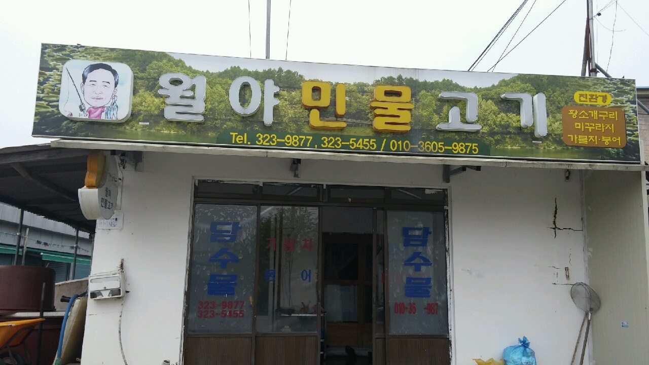 황소개구리 민물 함평사업소