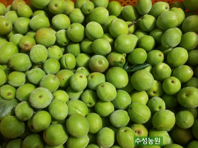 수성농원