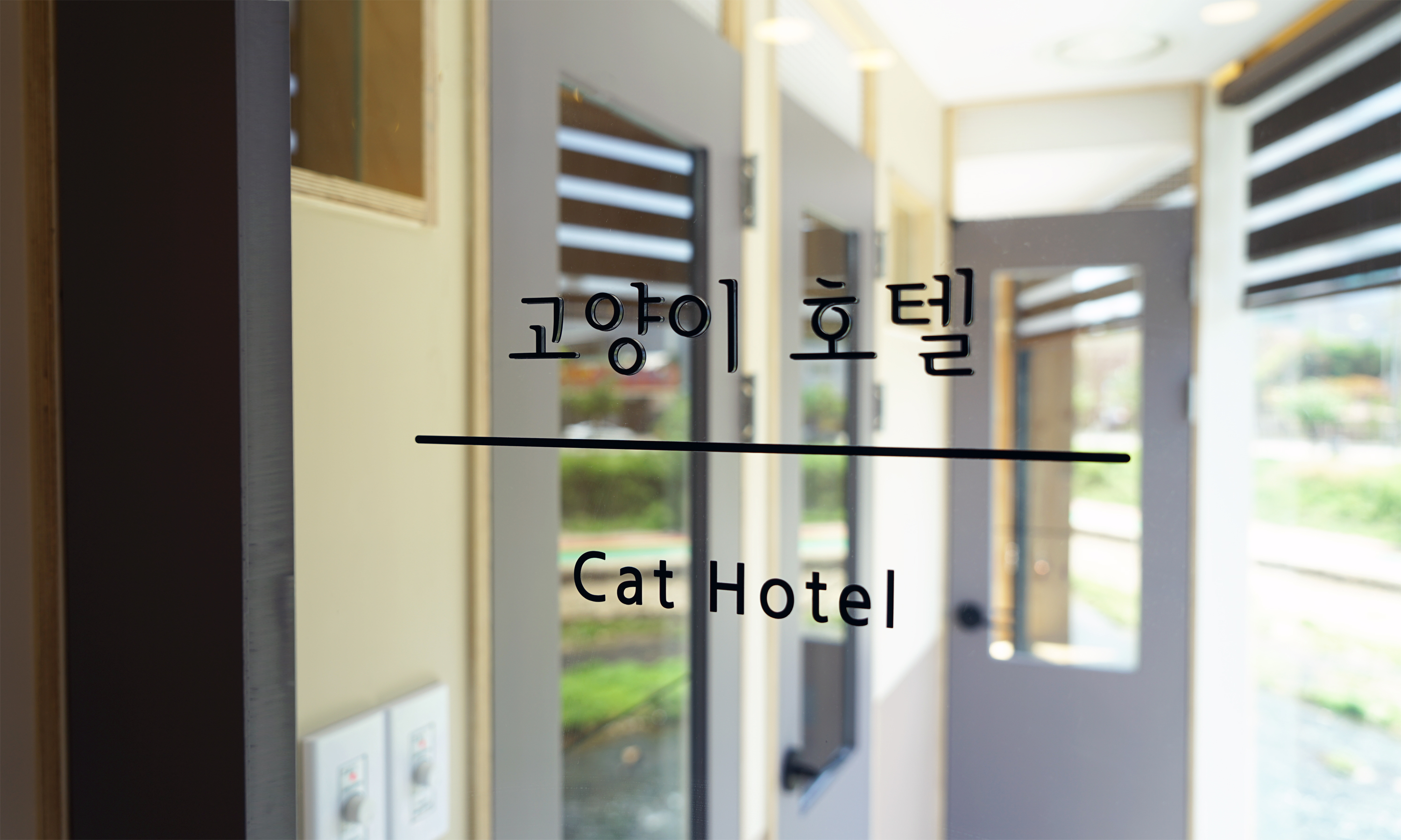 하임동물병원 대표 이미지