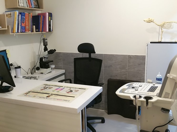 라온동물병원 대표 이미지