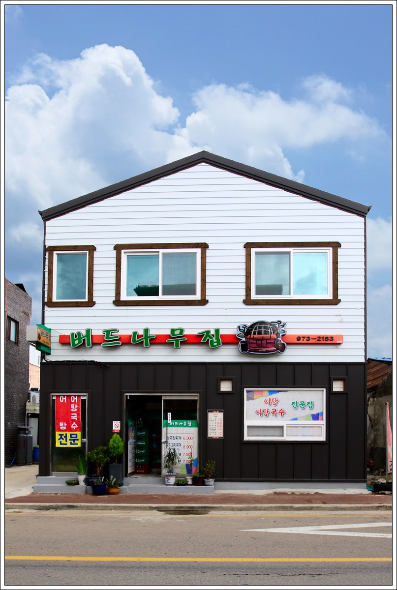 버드나무집