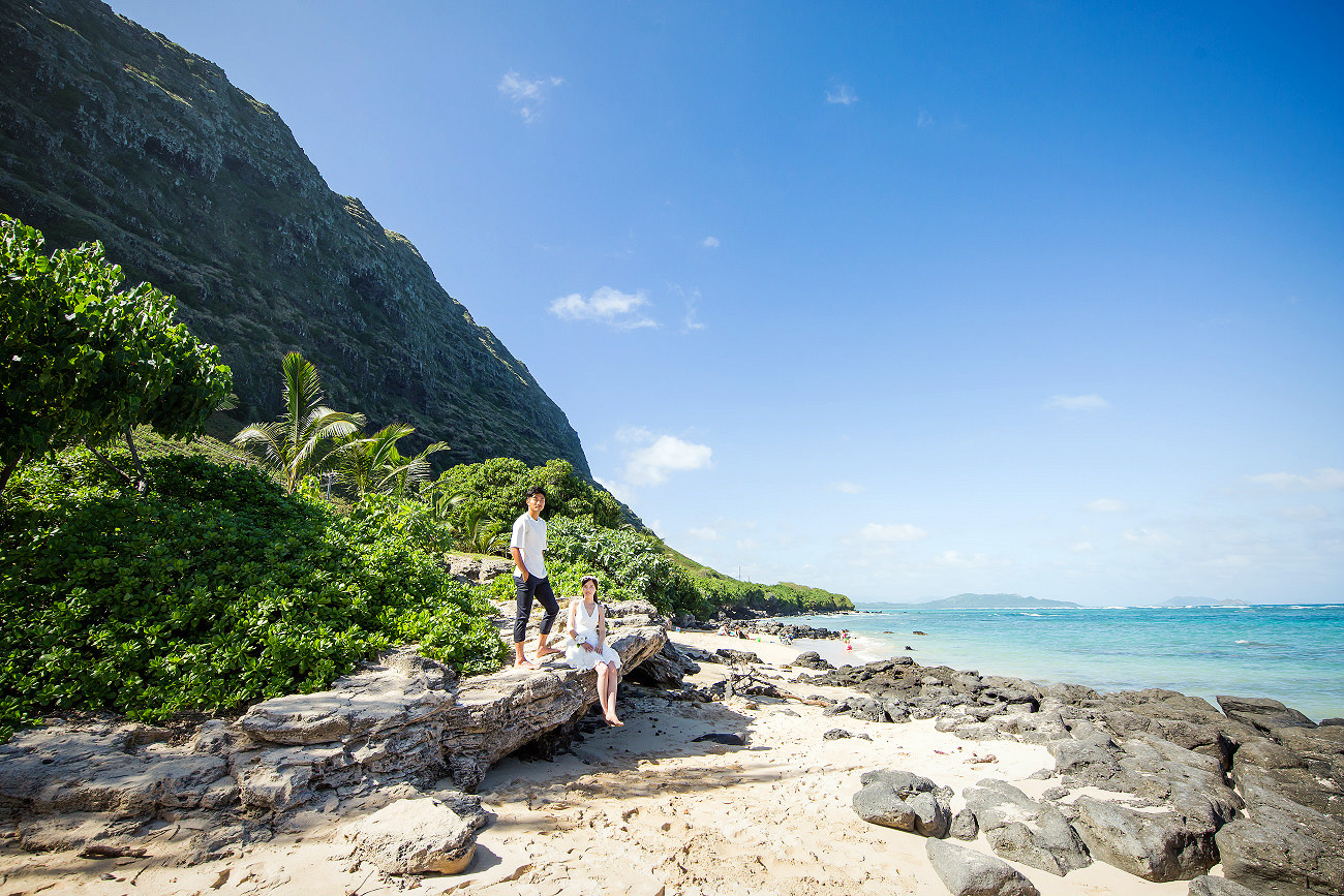 라벨라하와이 대표 이미지