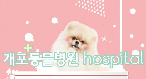 개포동물병원 대표 이미지