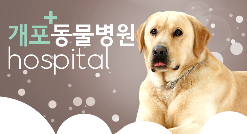 개포동물병원 대표 이미지
