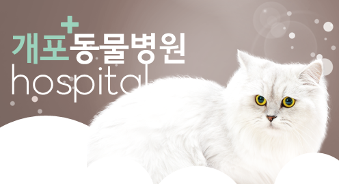 개포동물병원 대표 이미지