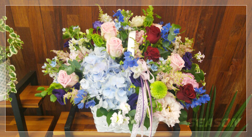 시즌 플라워 대표 이미지