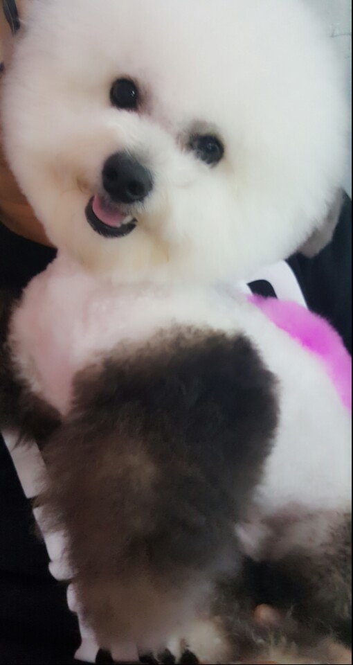 이미지