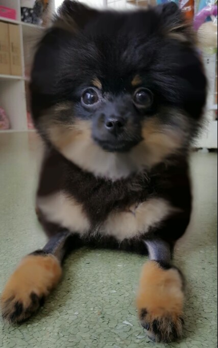 이미지