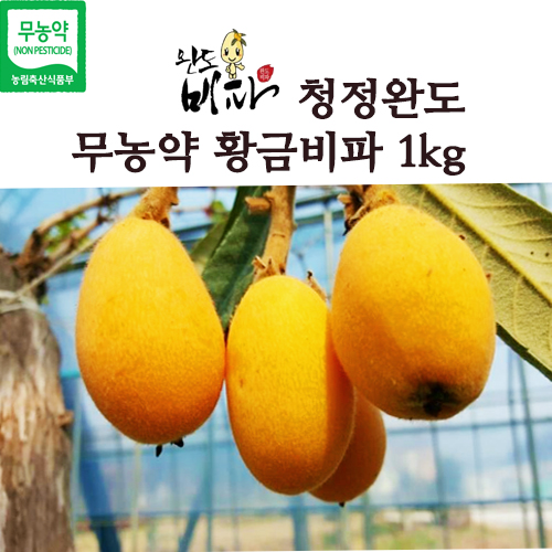 완도비파영농조합법인