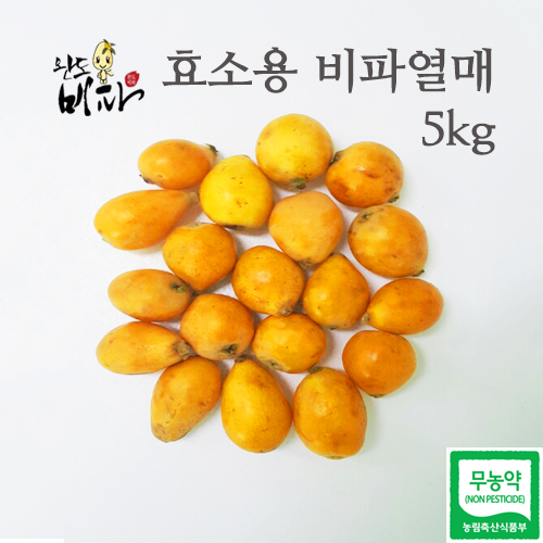 완도비파영농조합법인
