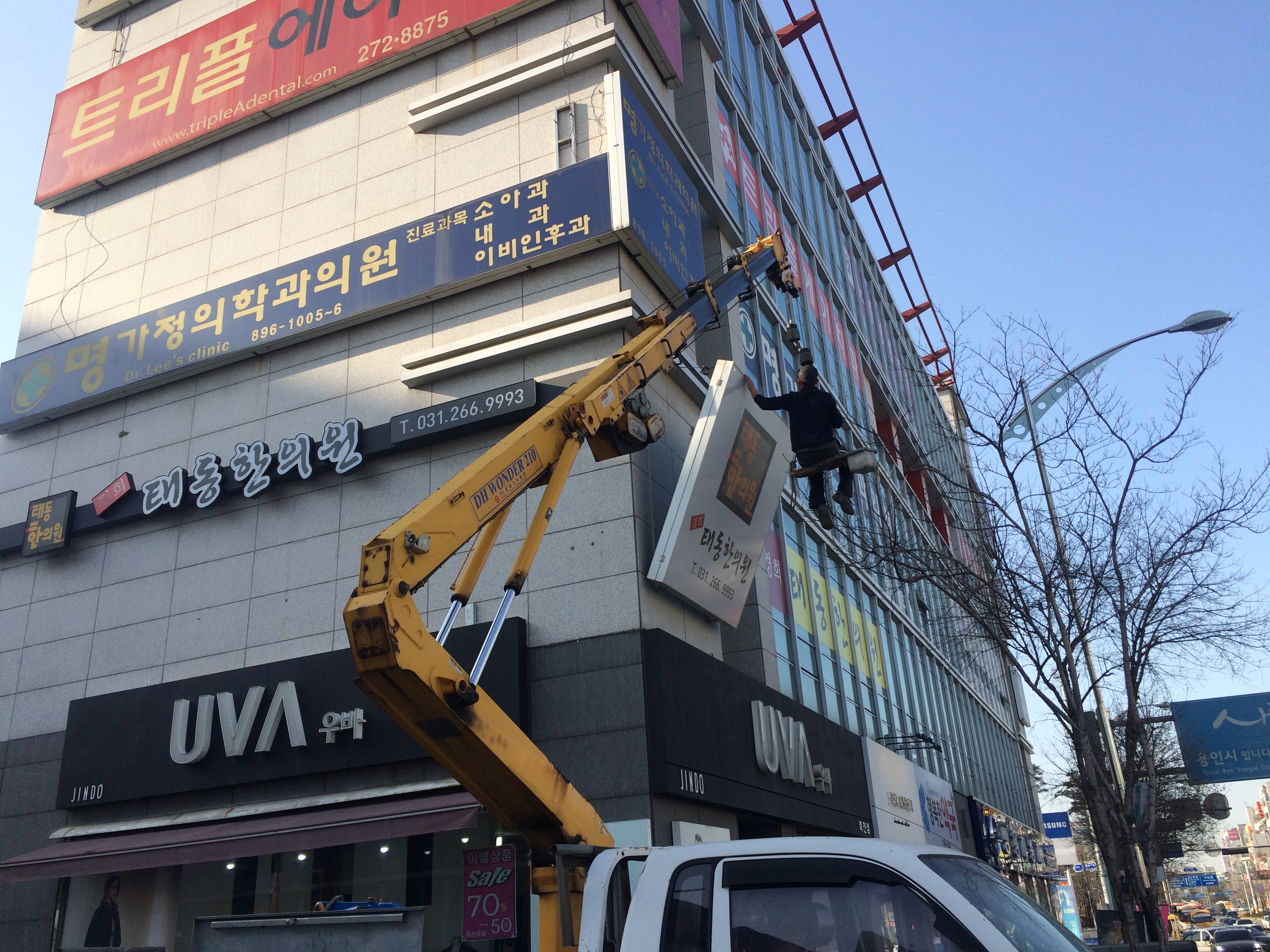 모디시스