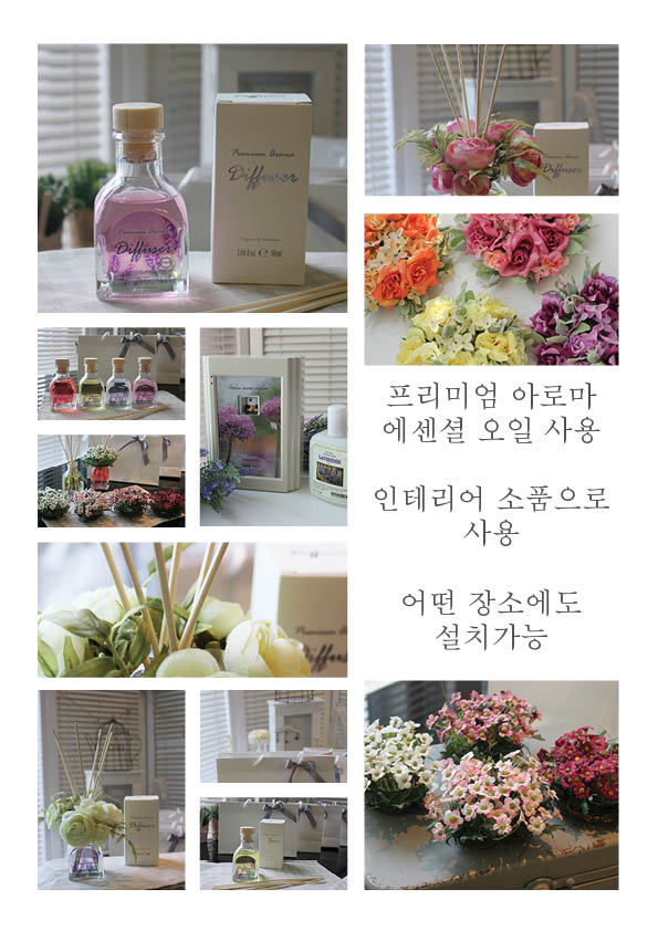 비엠에스코리아