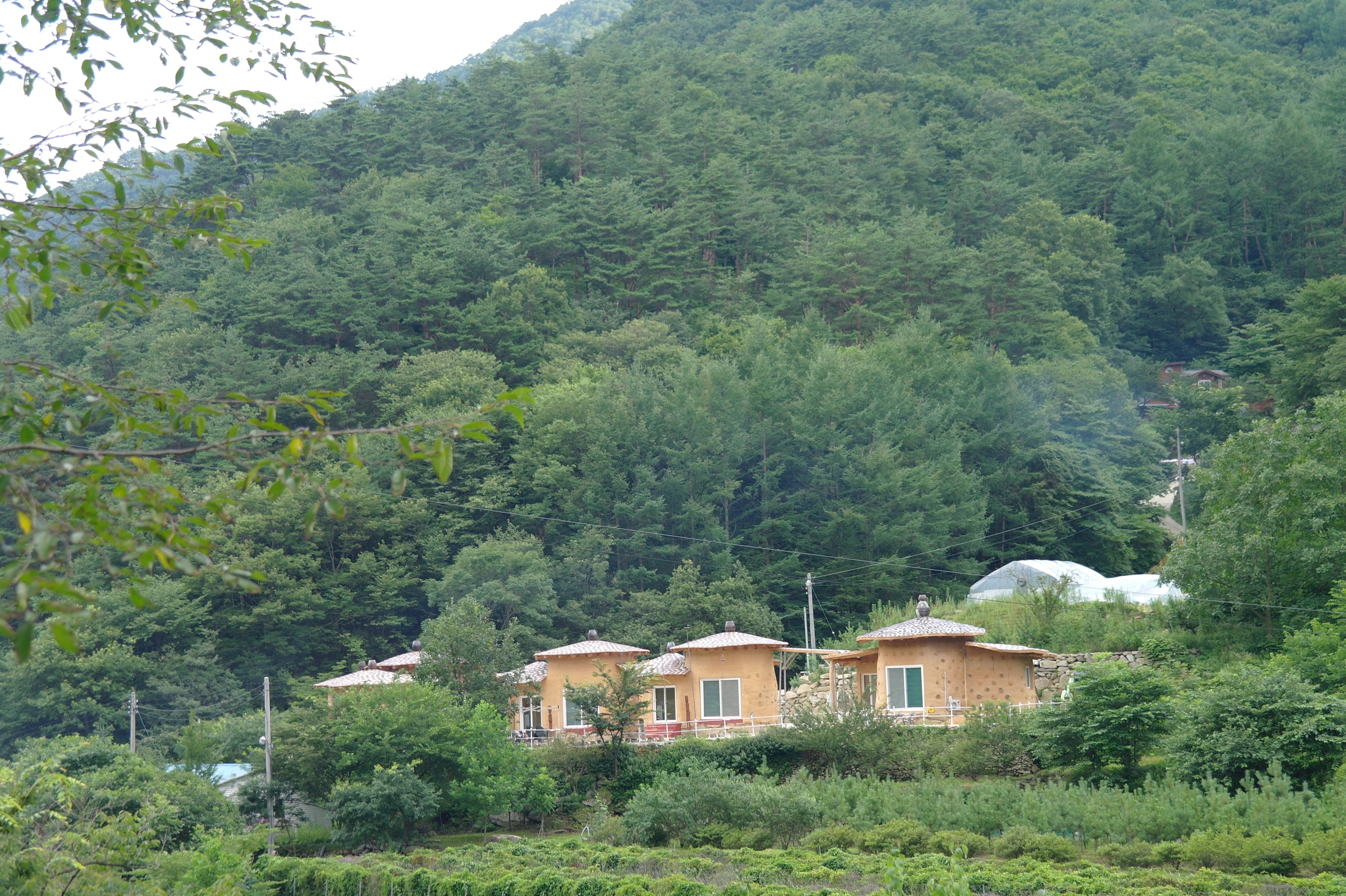 보경토옥