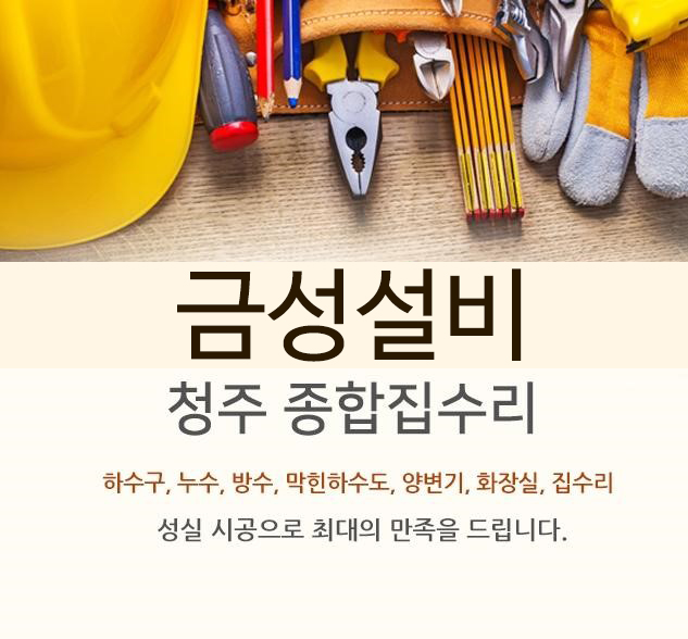 금성설비