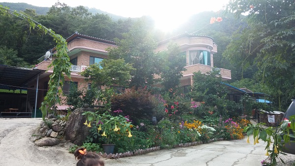 딸부잣집