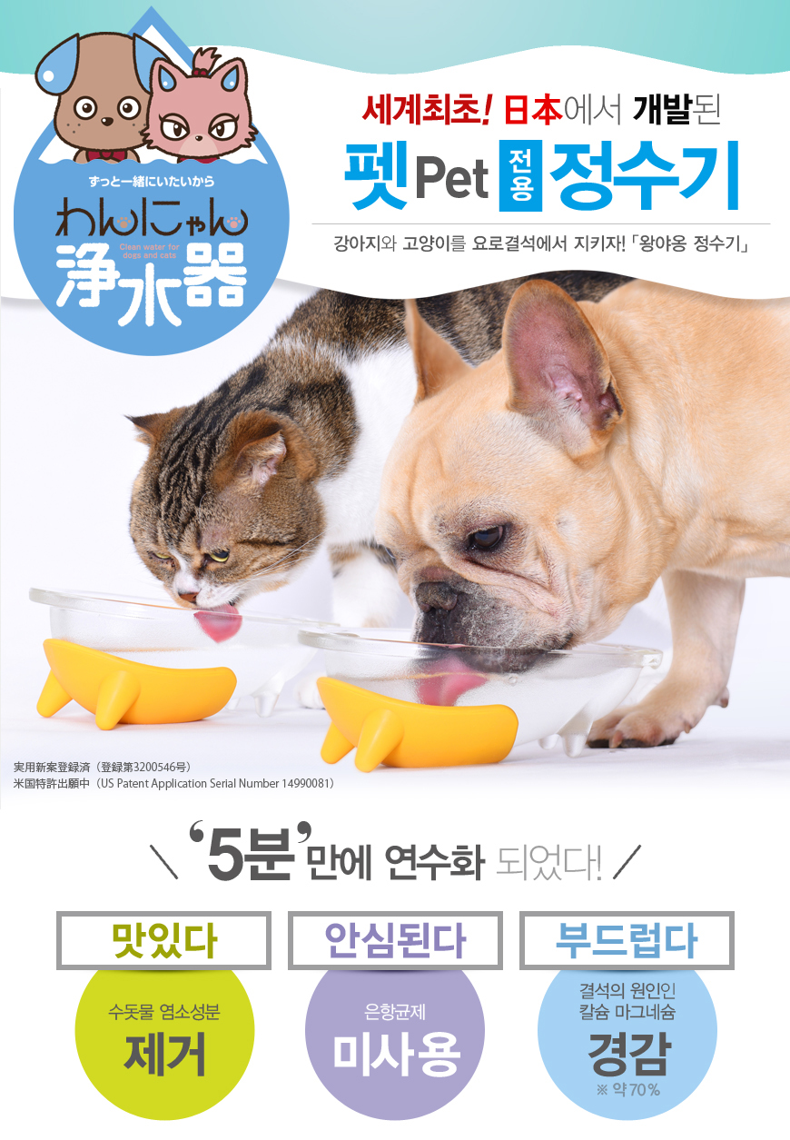코리아에코