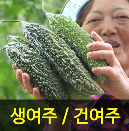 황토현농원
