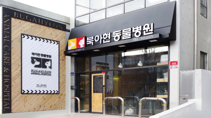 북아현동물병원