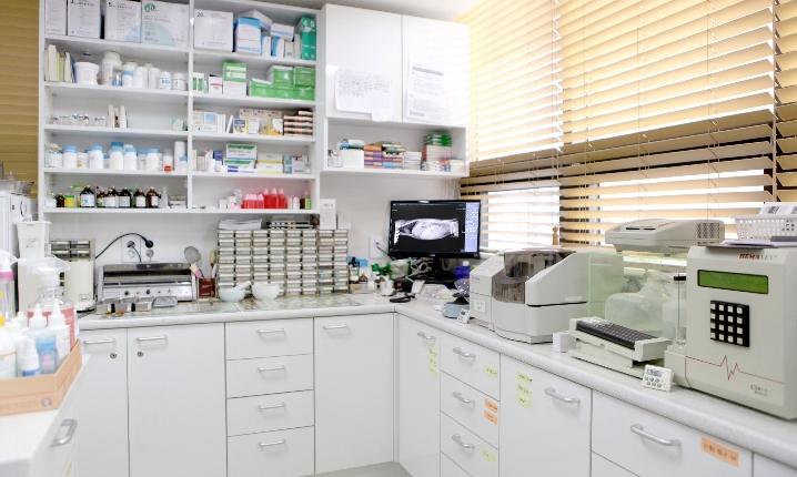 북아현동물병원 대표 이미지