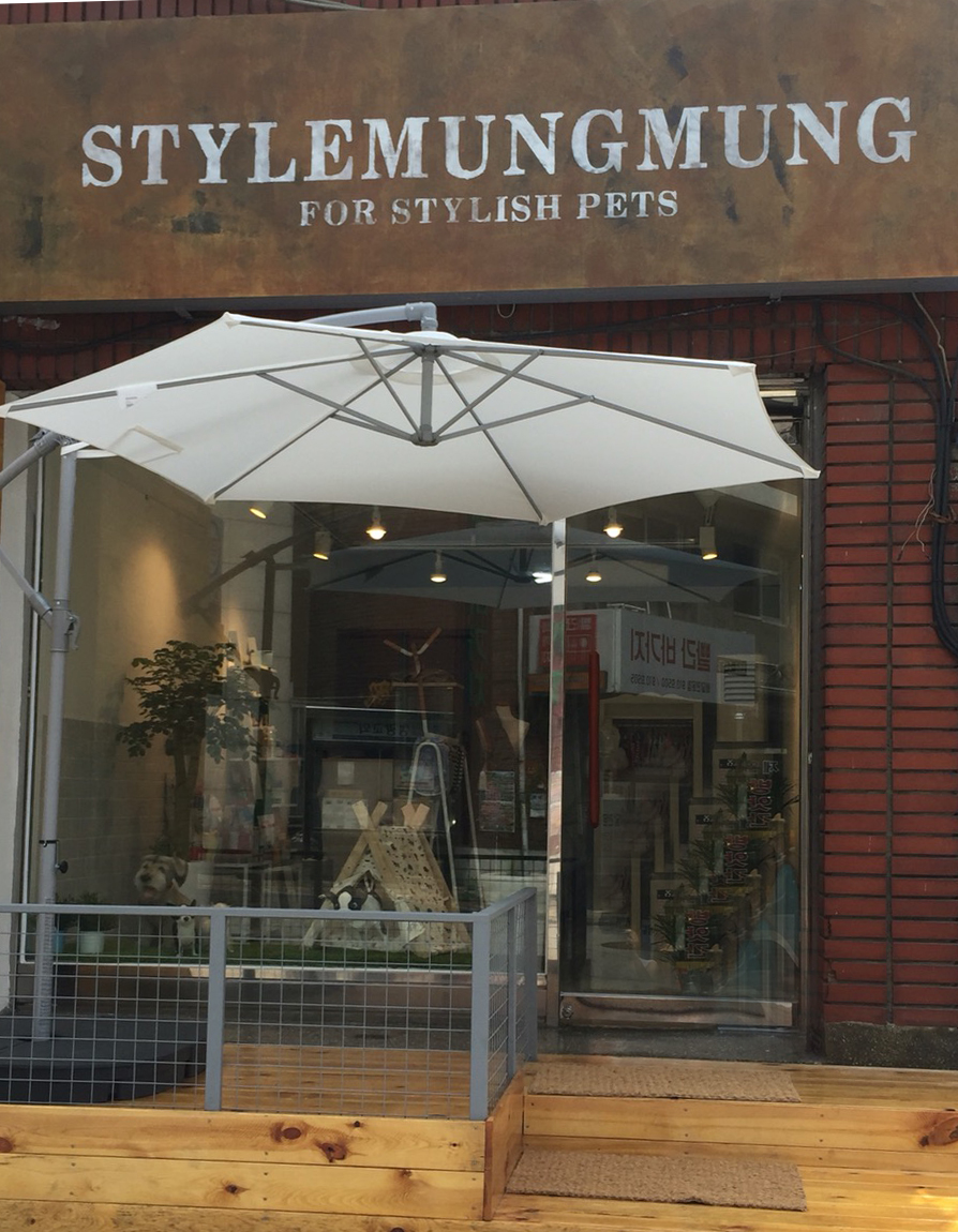 스타일멍멍 대표 이미지