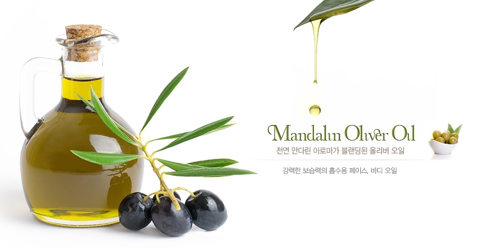 테라피더숲 photo 9