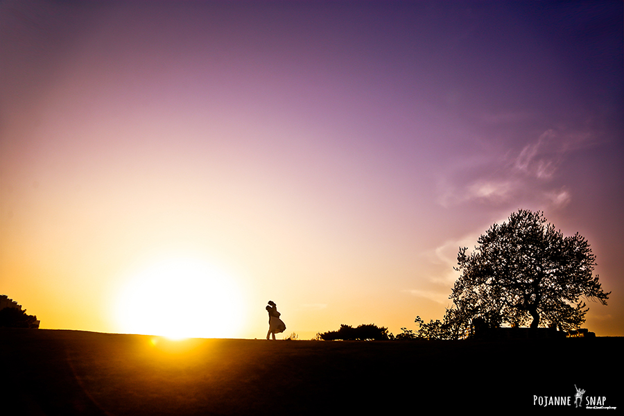 로이레스냅 대표 이미지