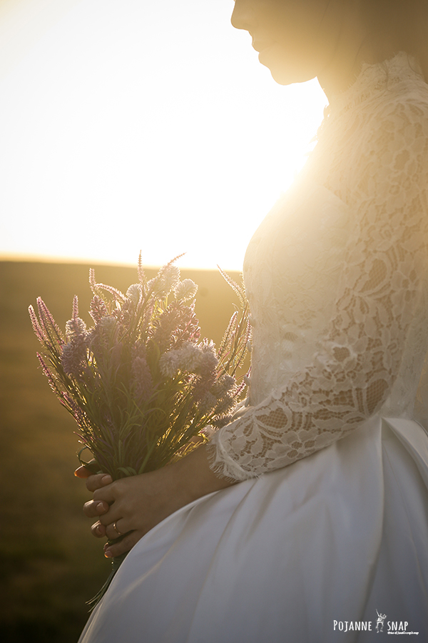 로이레스냅 대표 이미지