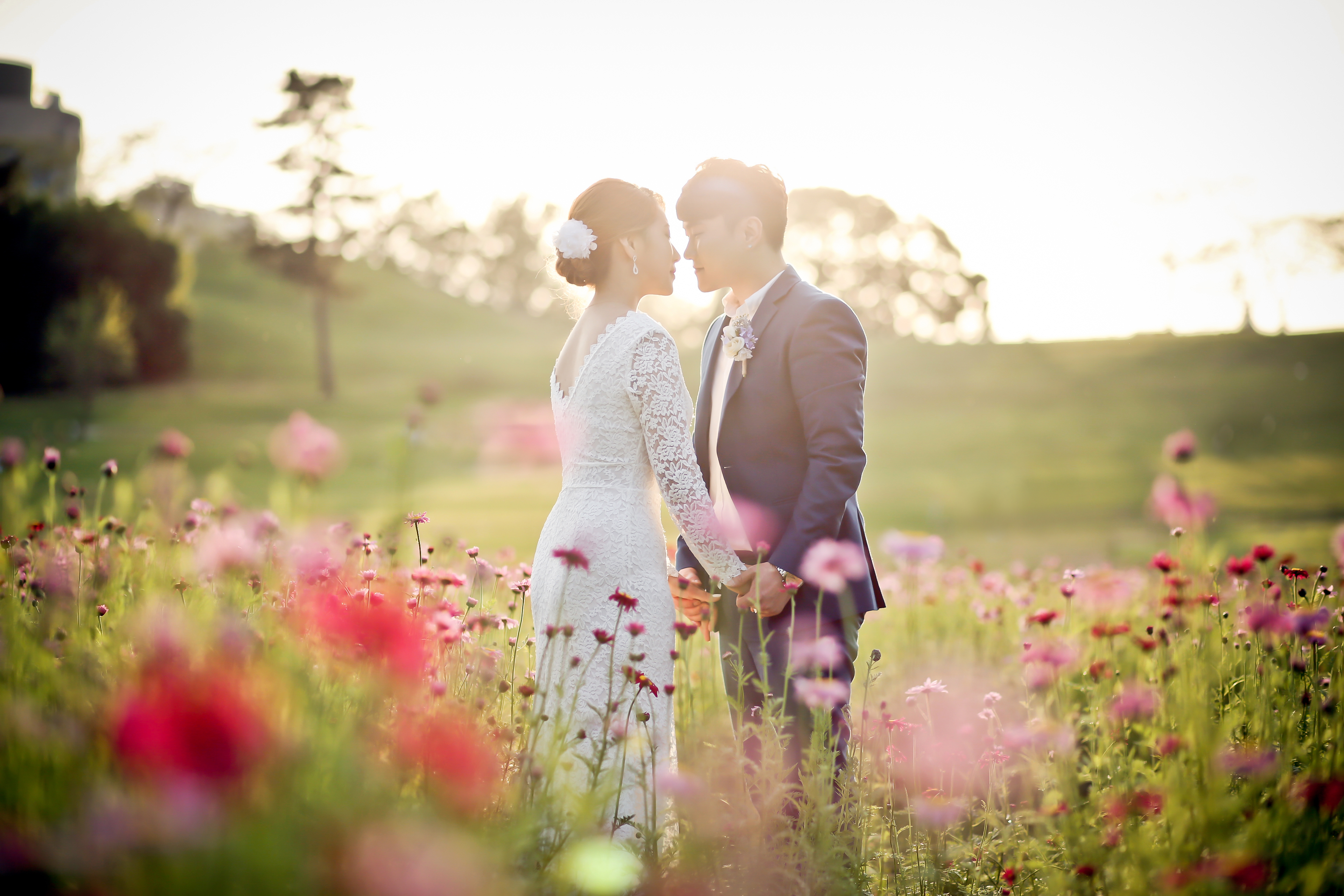 로이레스냅 대표 이미지