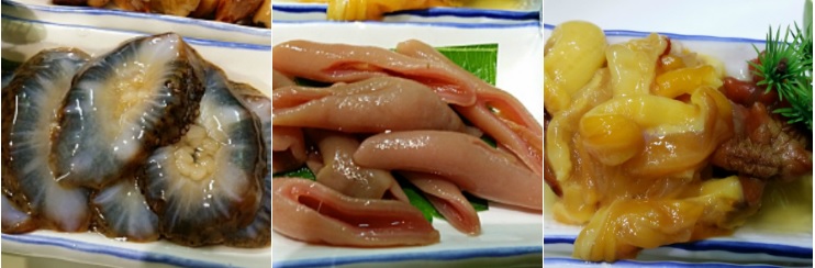 싱싱회예찬