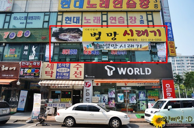 별망시래기