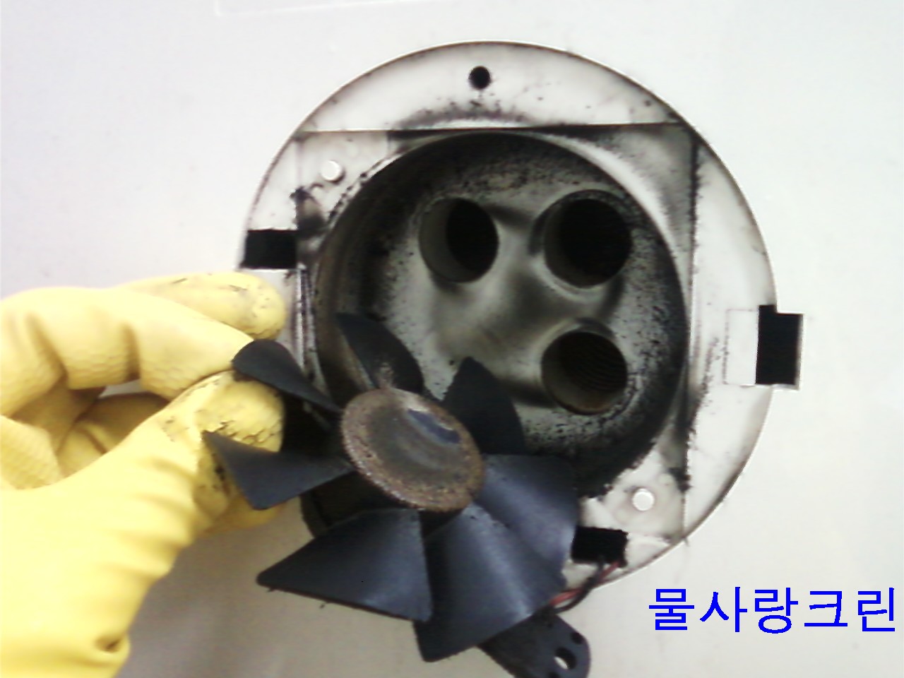 물사랑크린