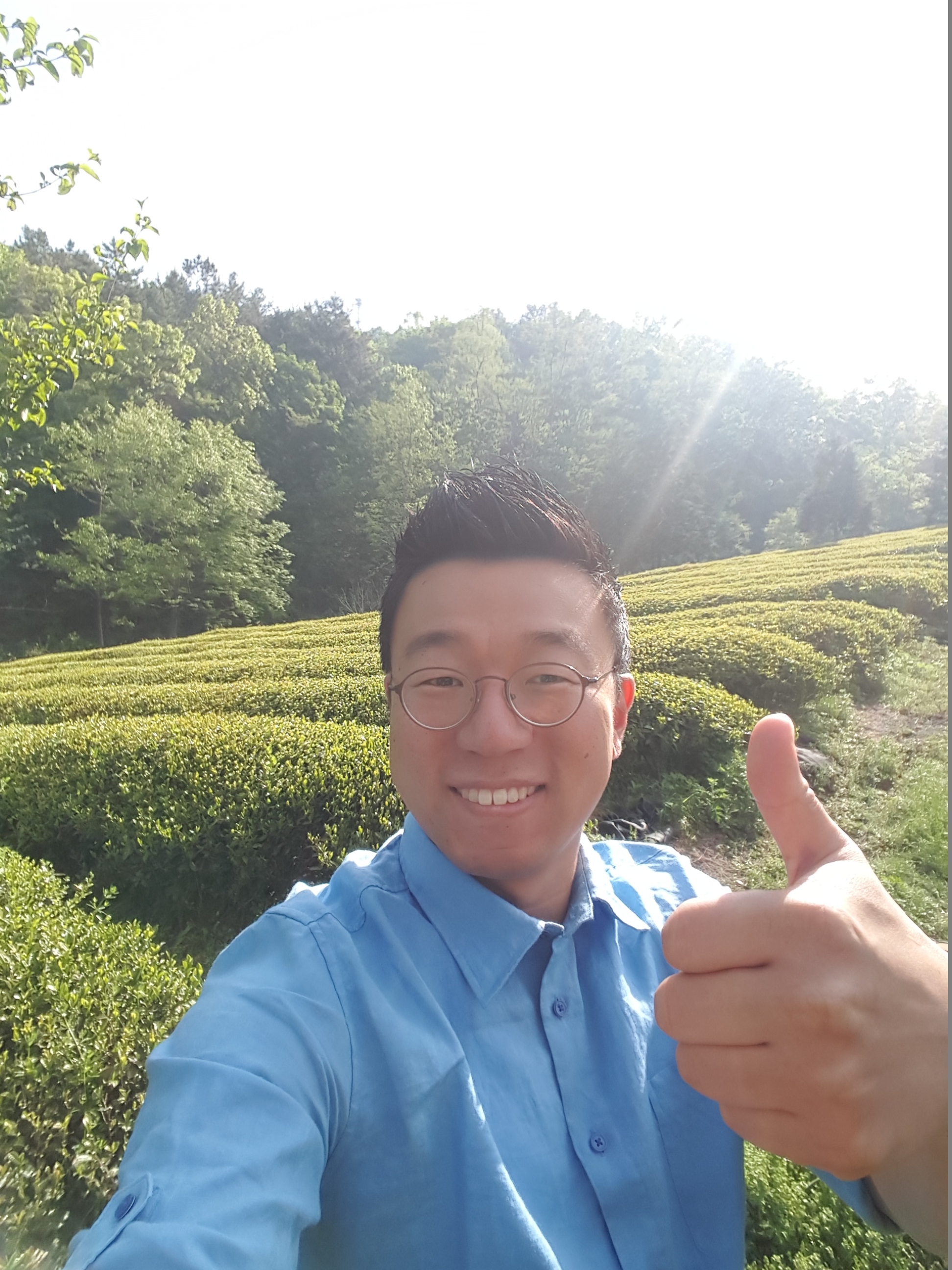 보성녹차 선다원