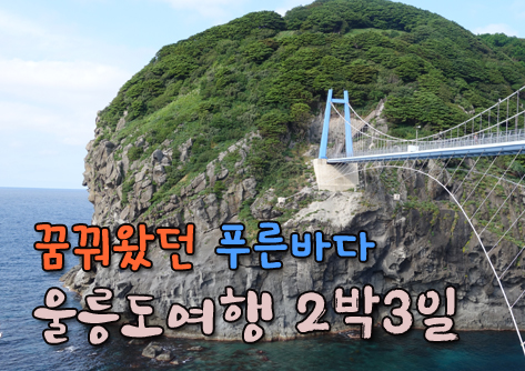 아라여행사