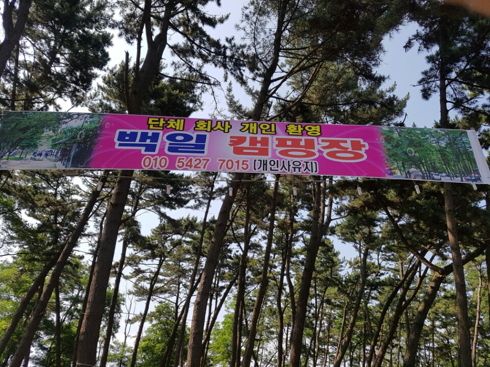 삼삼오오 야영장