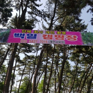 삼삼오오 야영장
