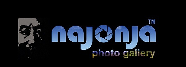 나존자포토갤러리 대표 이미지