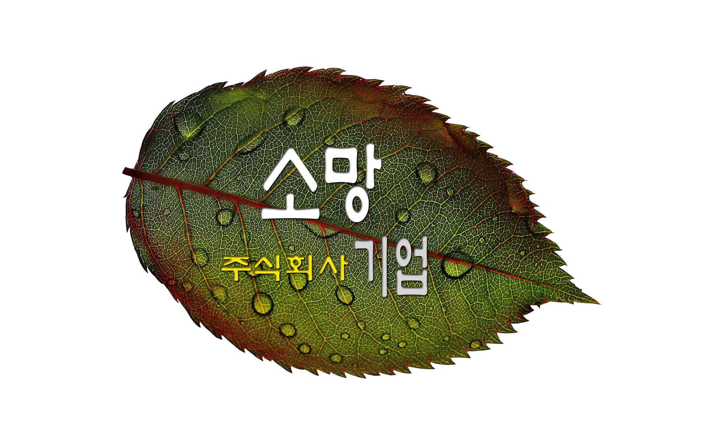 소망기업