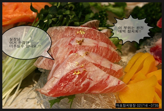 키움참치