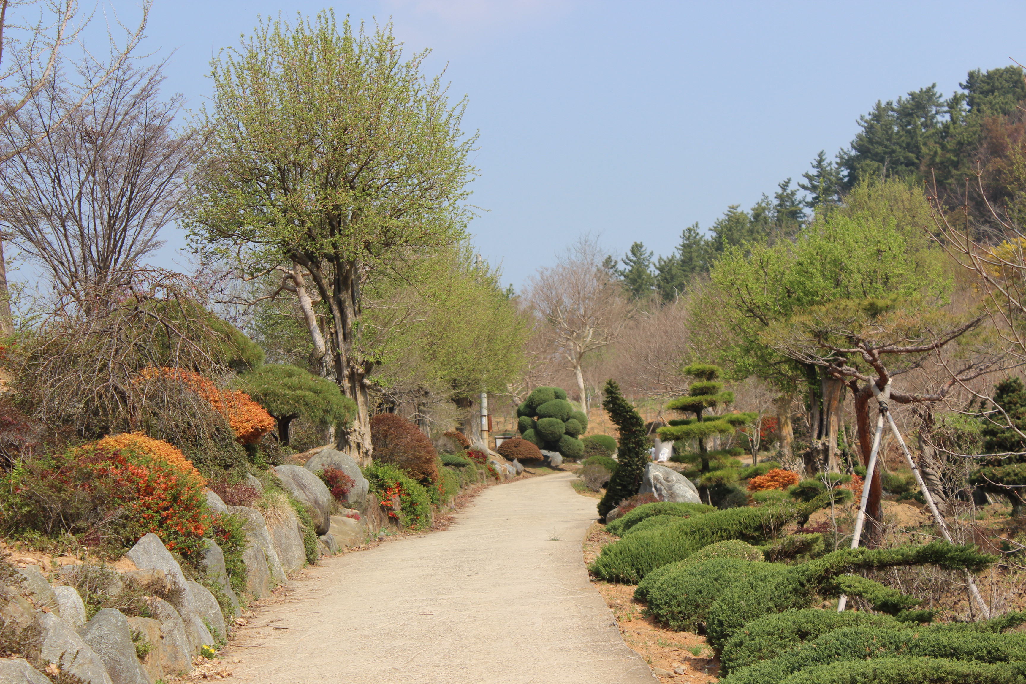 대영농원