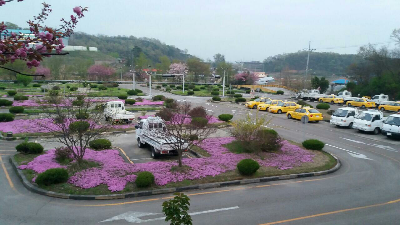 당진자동차운전전문학원