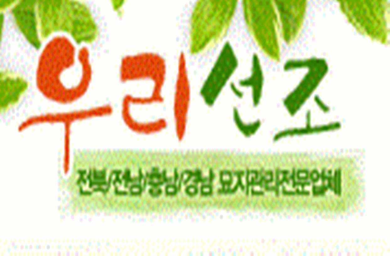 우리선조