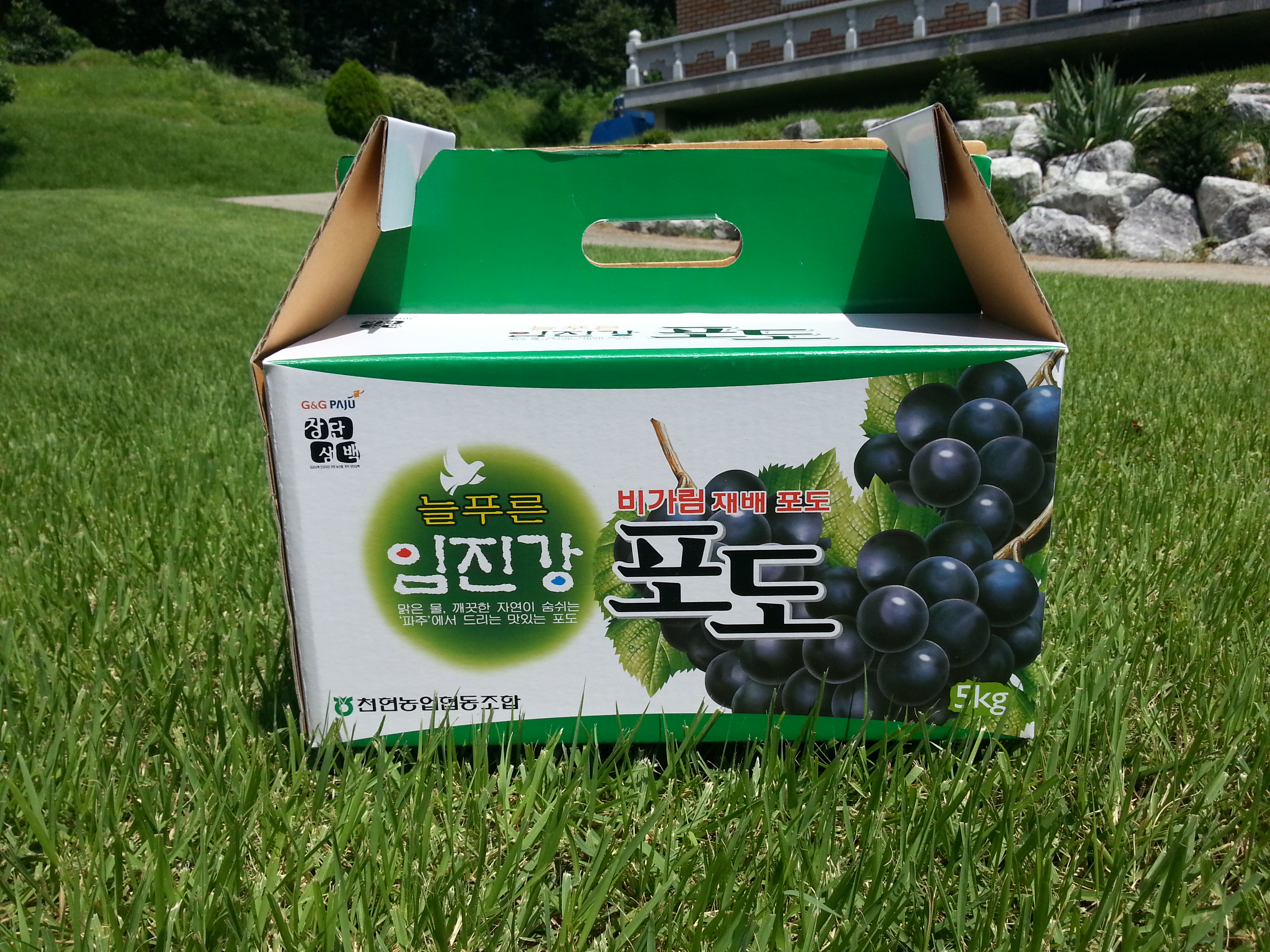 희망포도농원