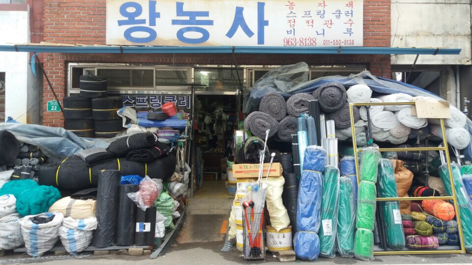 왕농사