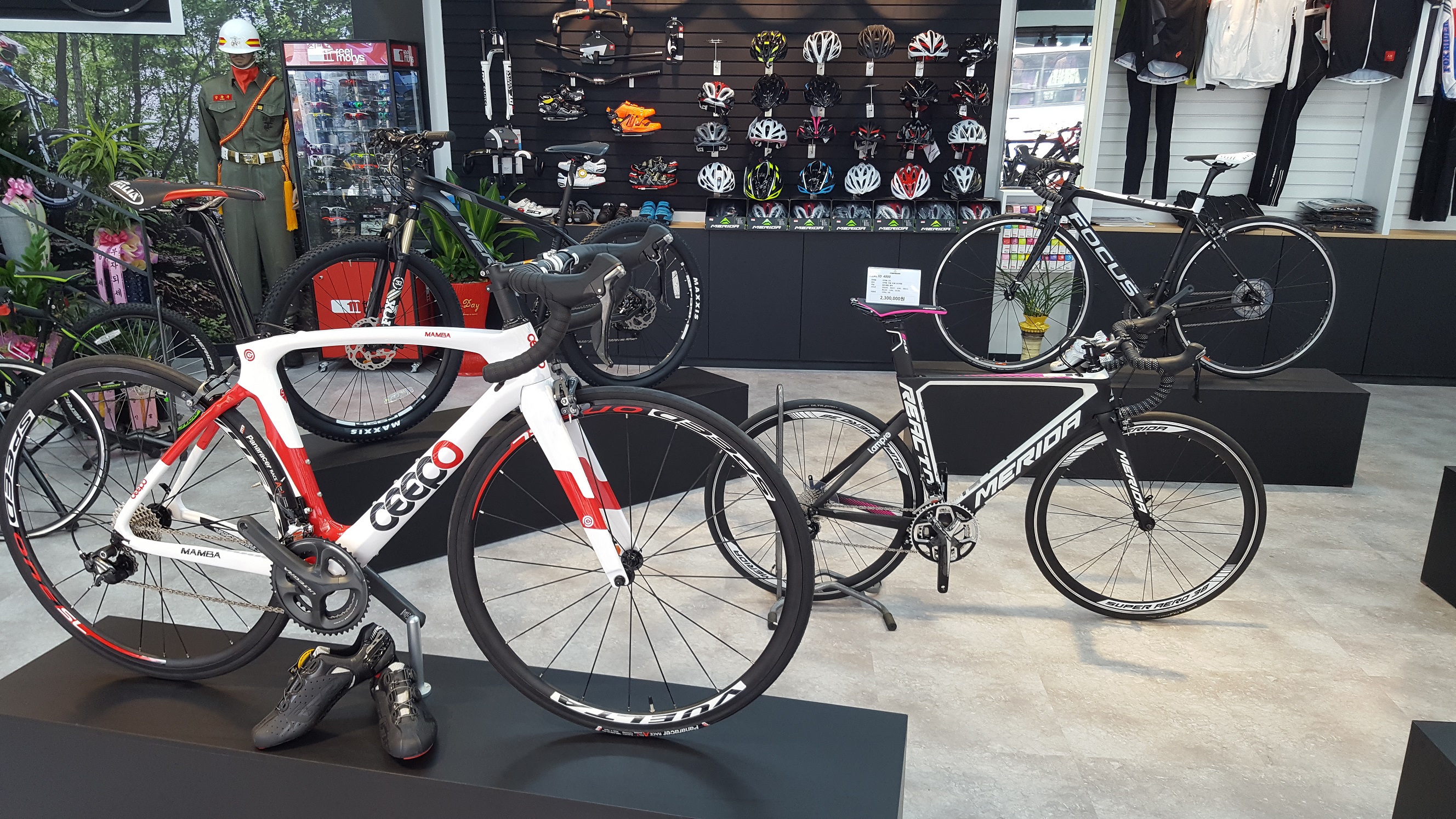 청룡엠티비자전거 대표 이미지