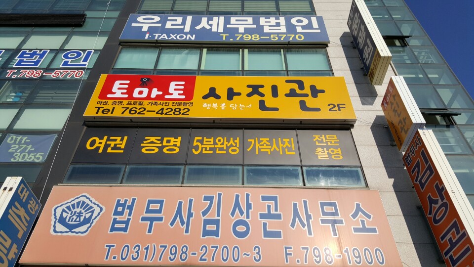 토마토사진관