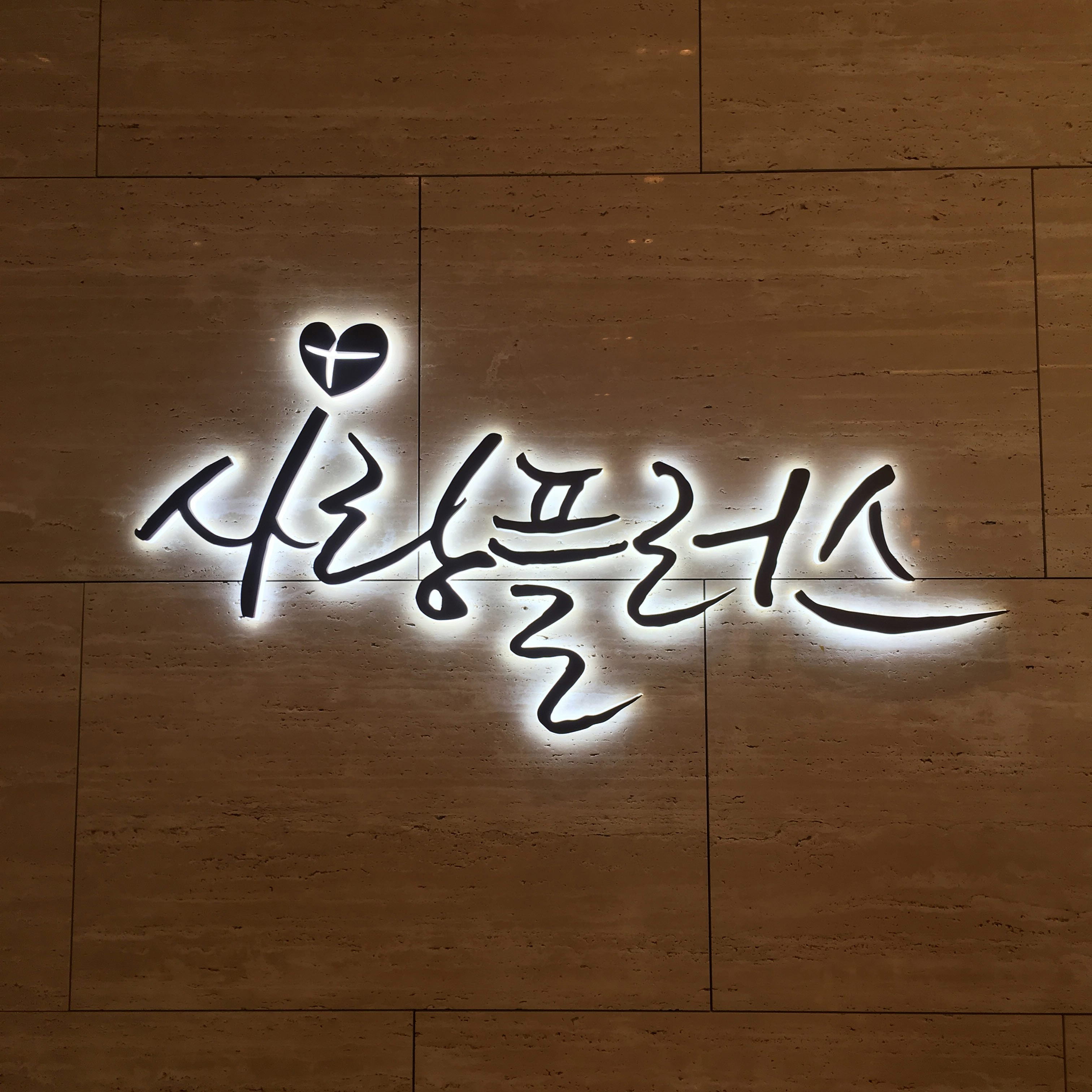 사랑플러스