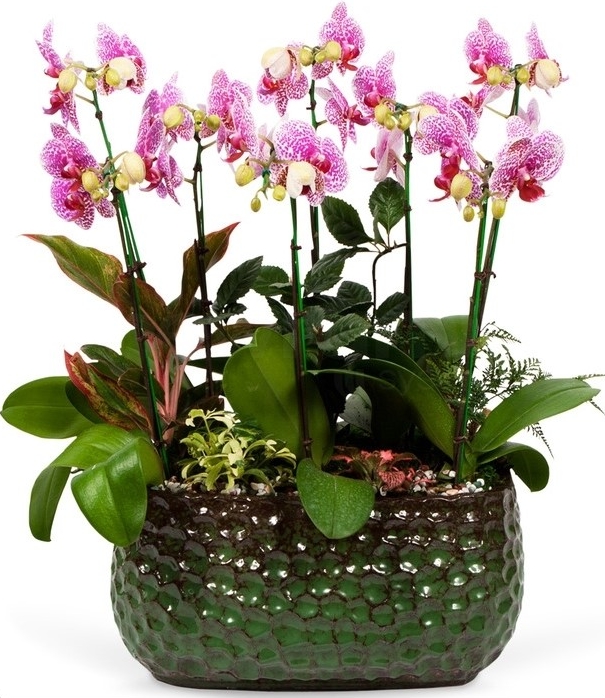 꽃예술 flower