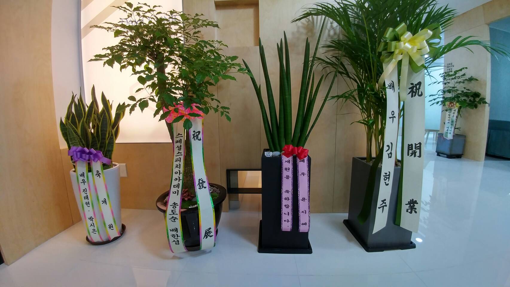 다미의원 대표 이미지